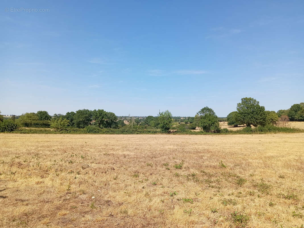 Maison sur 1.3 hectare sans voisins ! - photo 14