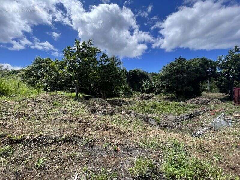 Terrain à VIEUX-HABITANTS