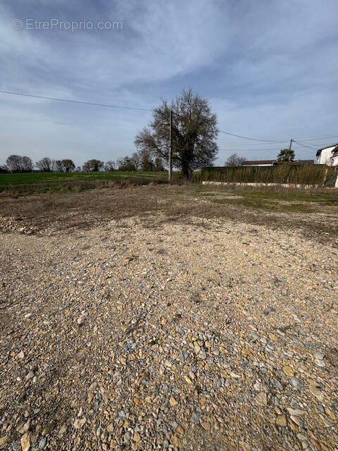 Terrain à PIZAY
