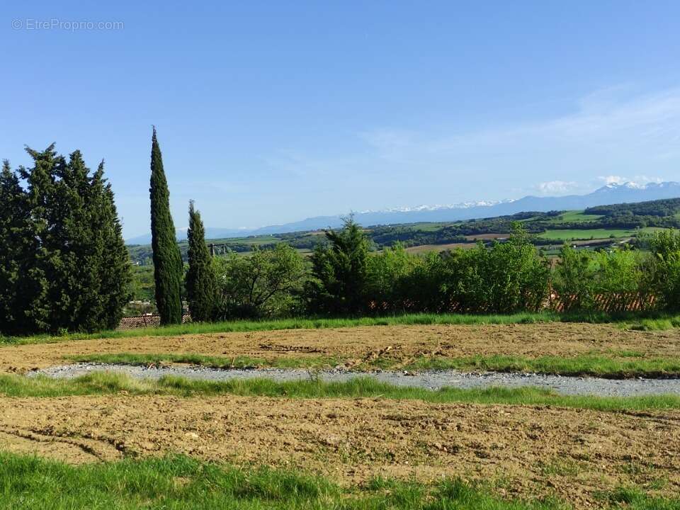 Terrain à MONTFERRAND