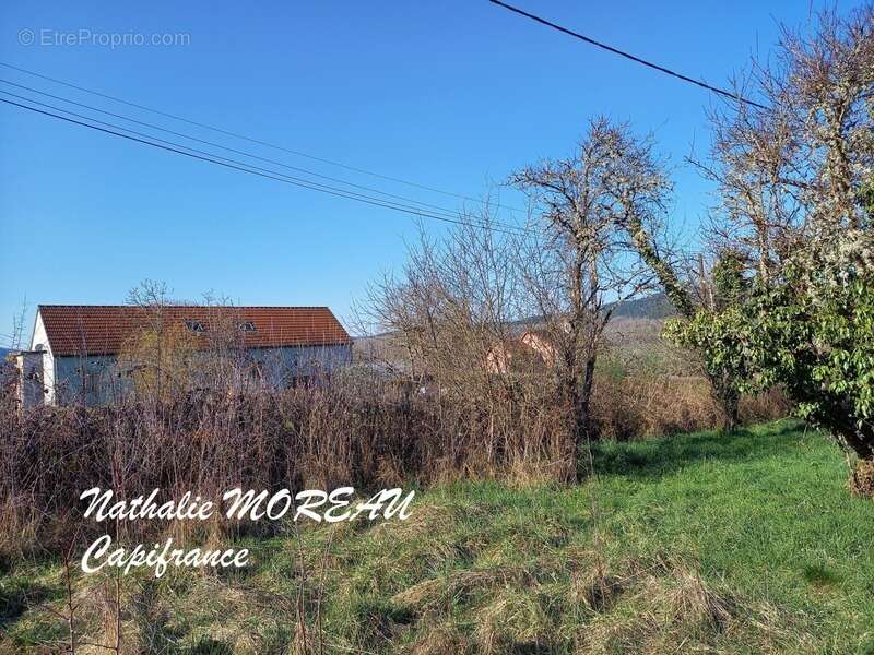 Dpt Saône et Loire (71), à vendre RECLESNE terrain avec vue dégagée - photo 3