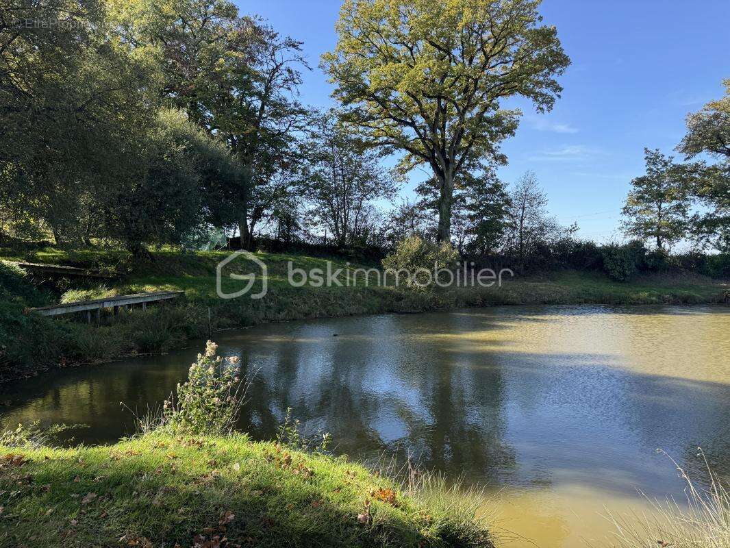Terrain à SAINT-PIERRE-LA-COUR