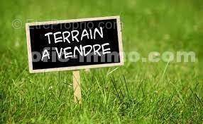 517310-4065366 - Terrain à ARZON