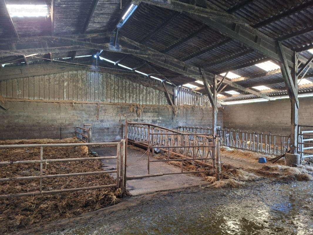 Propriété Corps de ferme SAINT DENIS DE GASTINES (53) - photo 20