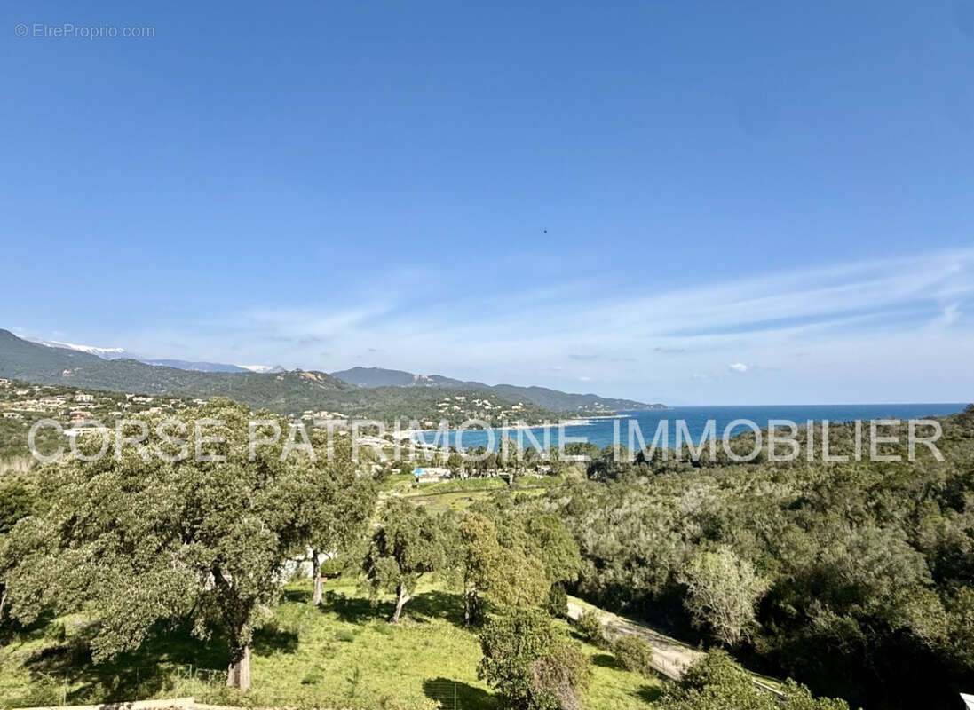 Appartement à CONCA