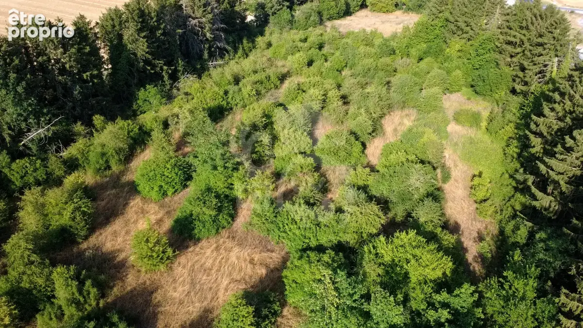 Terrain de 17 960 m2 avec 145 m2 de bâti - photo 17