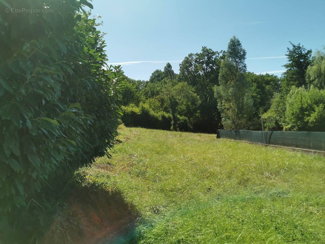 Terrain à SAINT-PRIEST-BRAMEFANT