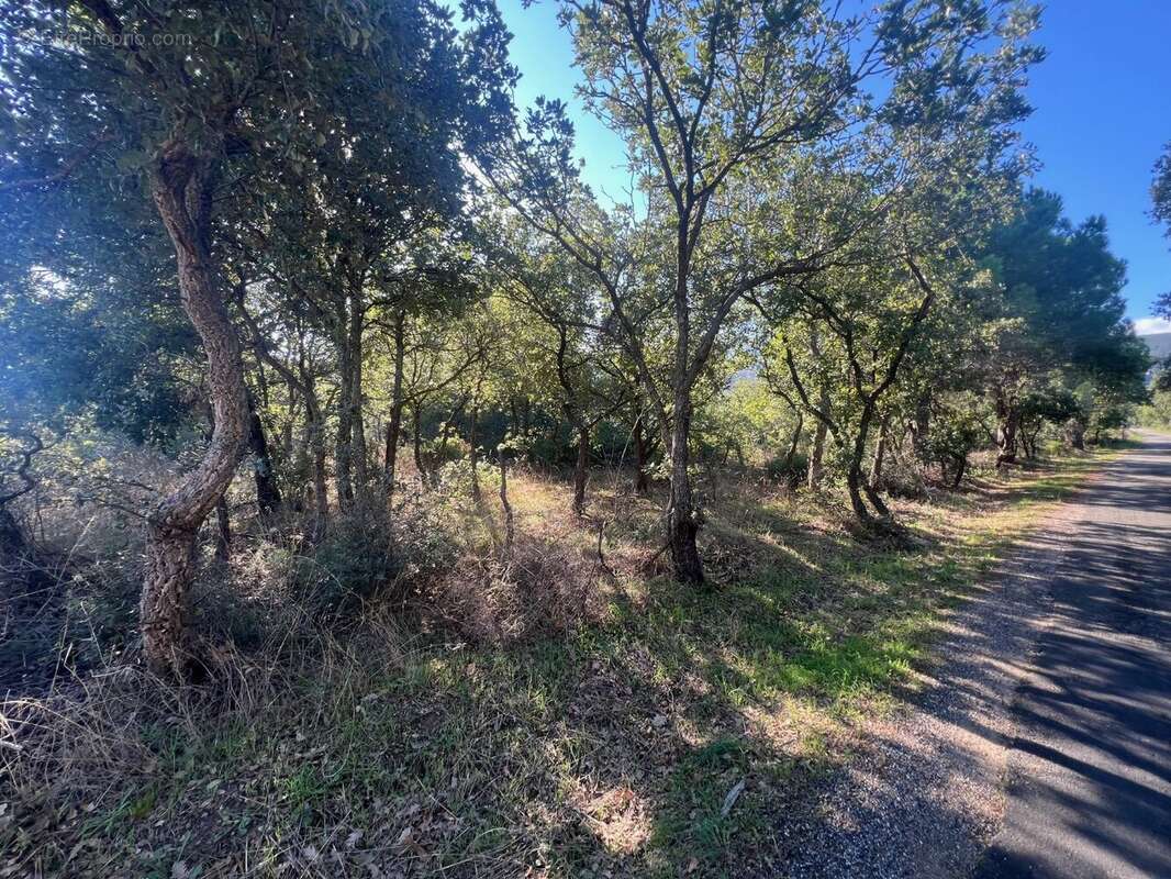 Terrain à ARGELES-SUR-MER