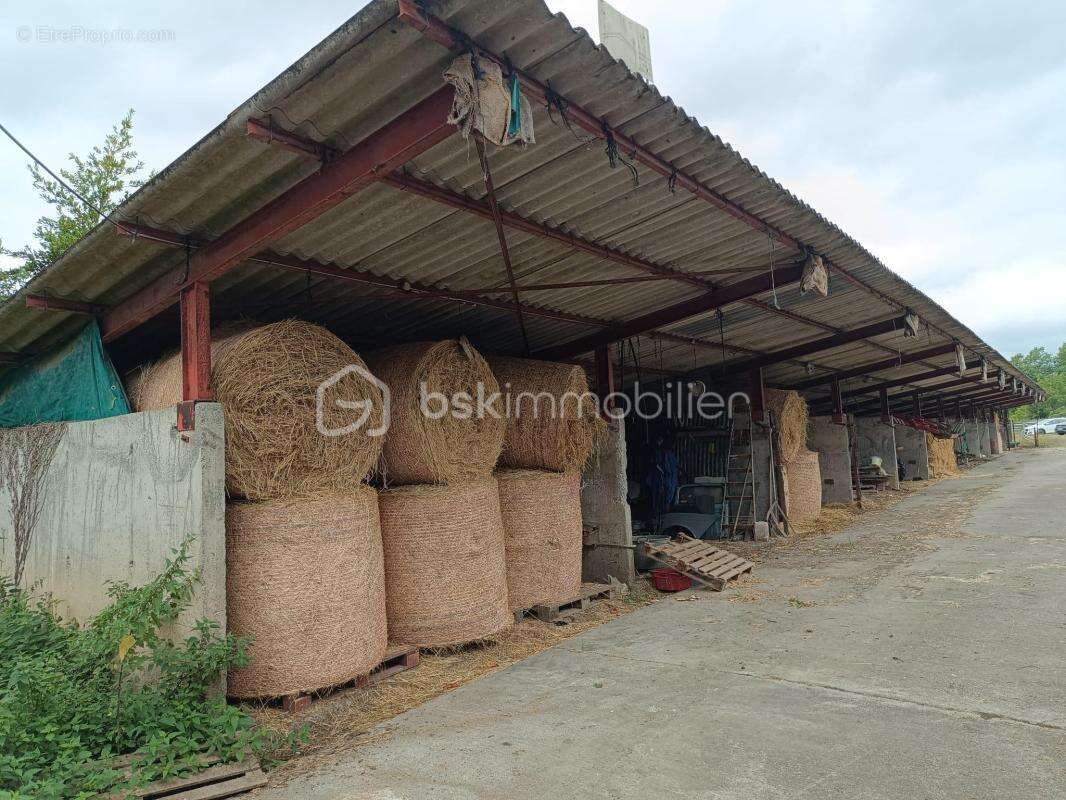 Terrain à SAUGUIS-SAINT-ETIENNE