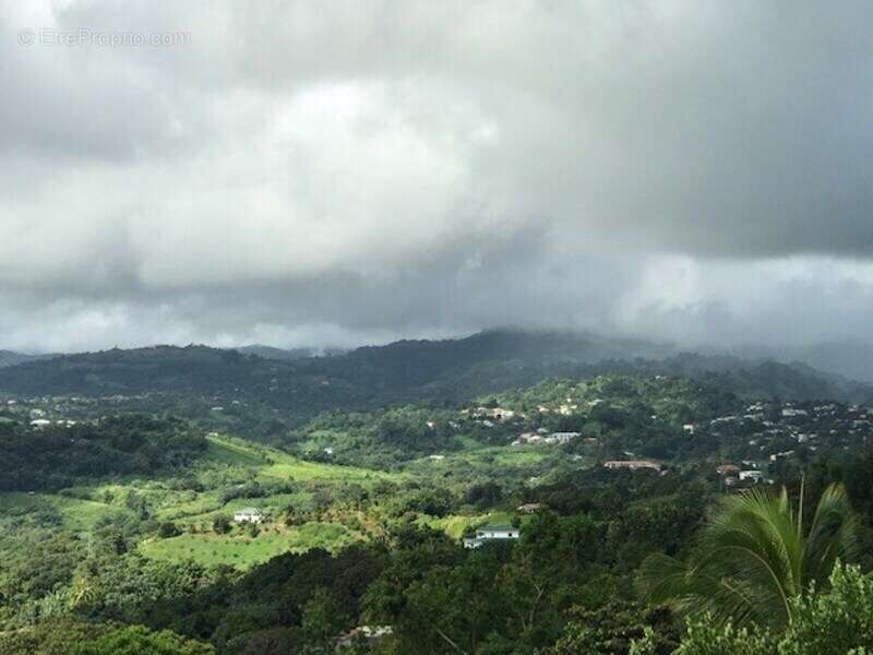 Terrain à LA TRINITE