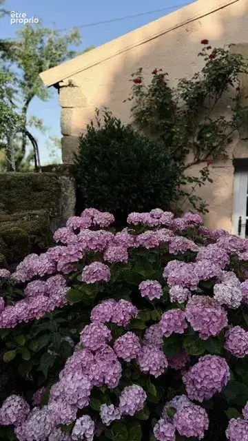 AUTHENTIQUE !!! Grande et belle maison en pierre dans un cadre préservé - photo 80
