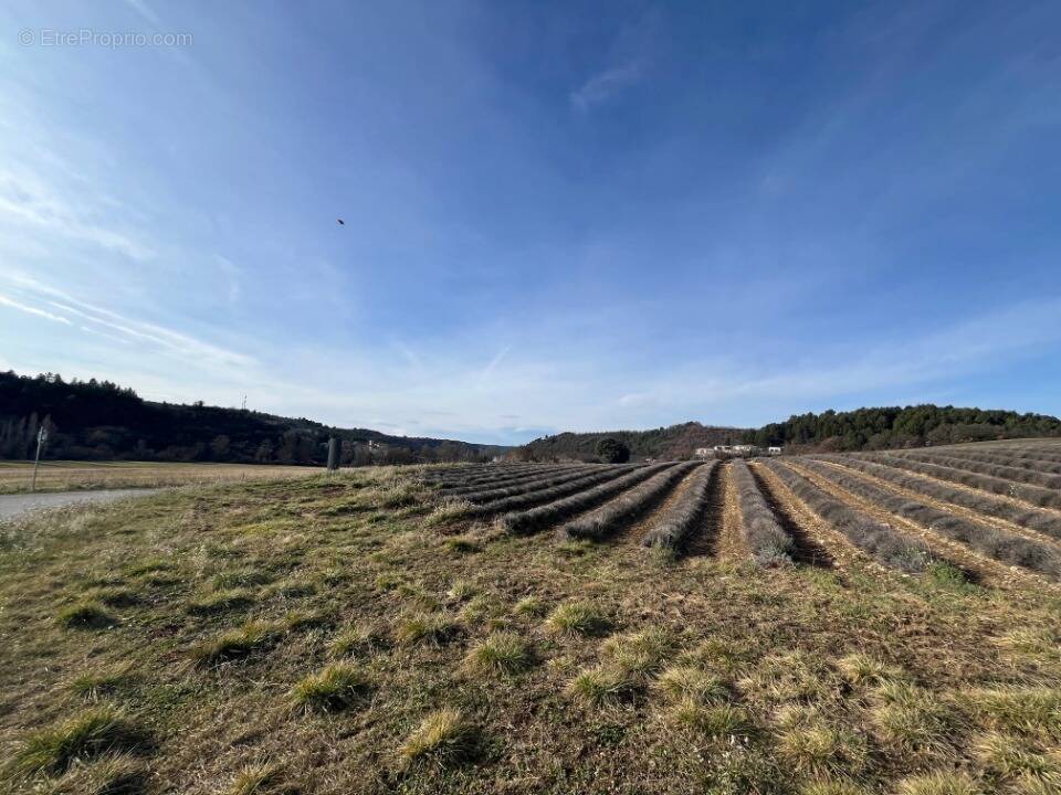Terrain à ROUMOULES