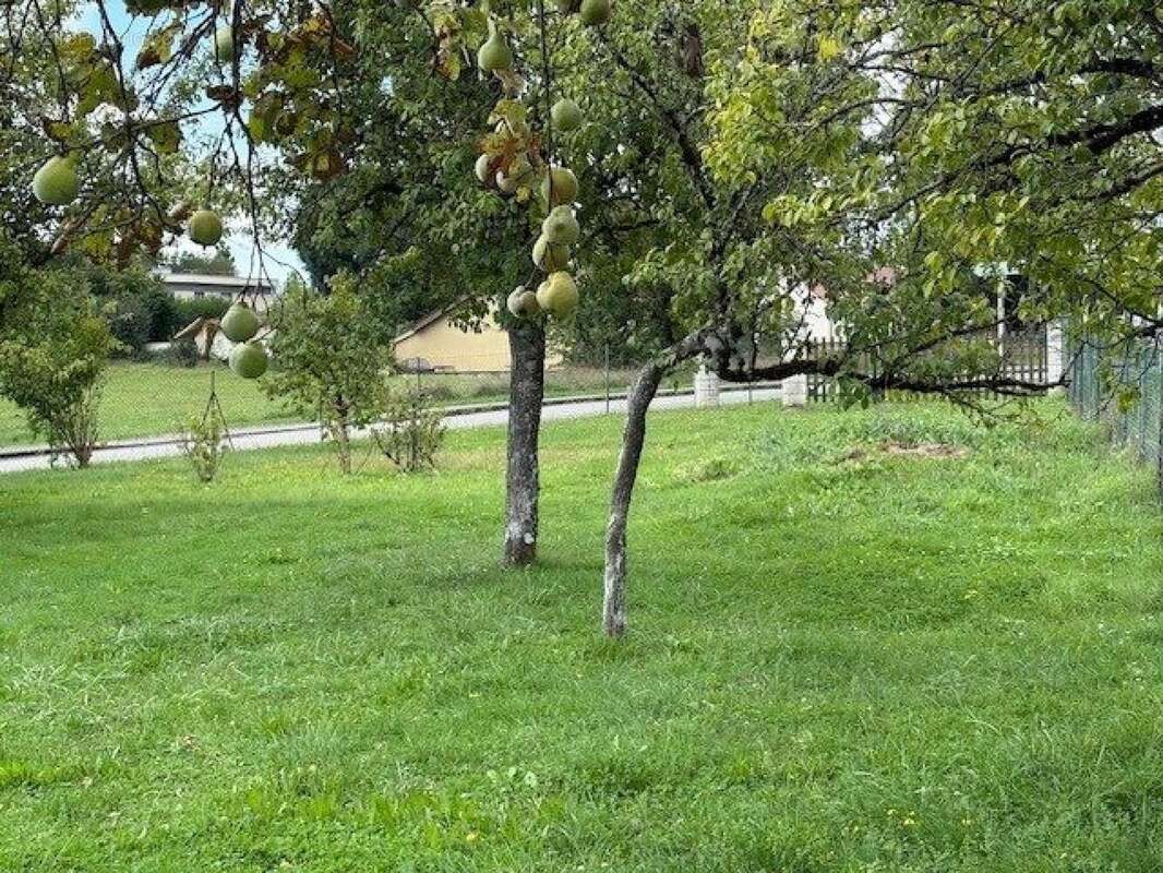 Photo 3 - Maison à DESANDANS