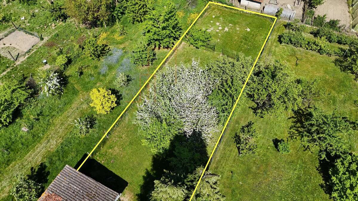 Maison à SCHAFFHOUSE-PRES-SELTZ