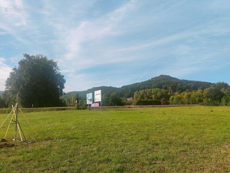 Terrain 7432 m² à Pazayac  - photo 12