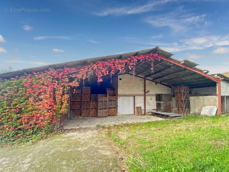 Dpt Gers (32), à vendre Proche de RISCLE château T6 de 327 m² habitables + 580 m² de dépendances attenantes sur 8157 m² de terra - photo 25
