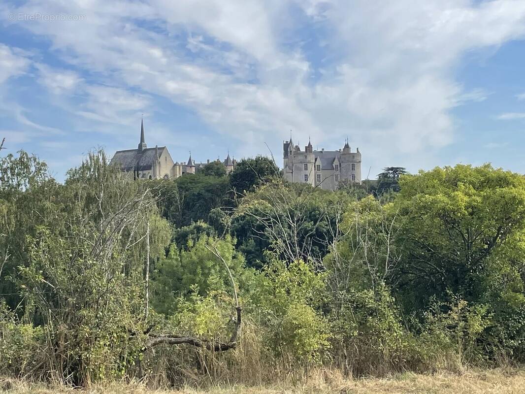 Terrain à MONTREUIL-BELLAY