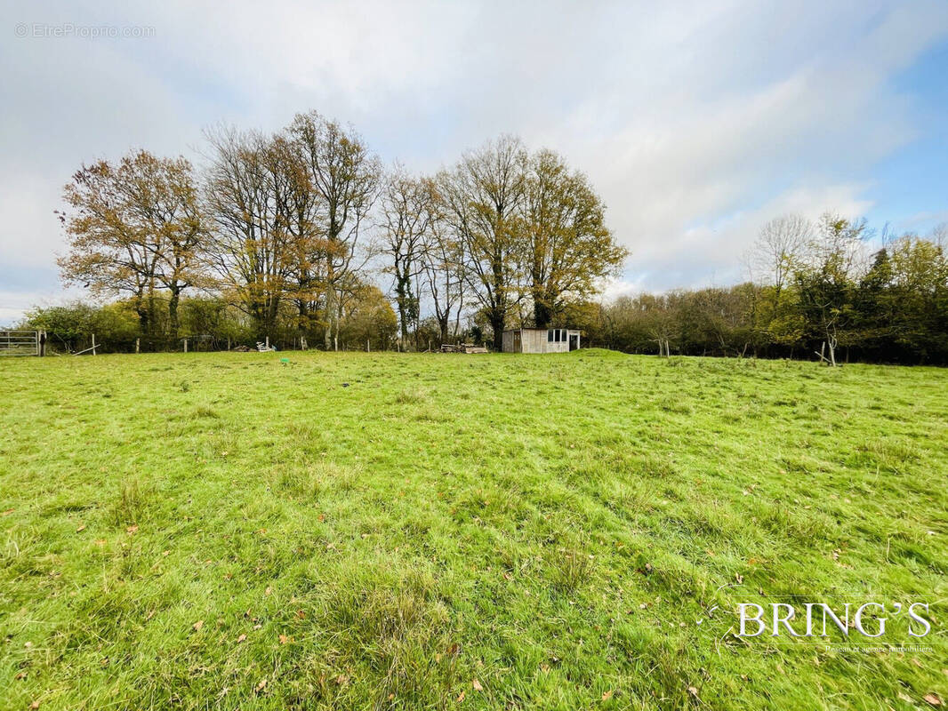 Terrain à VILLAINES-LA-CARELLE