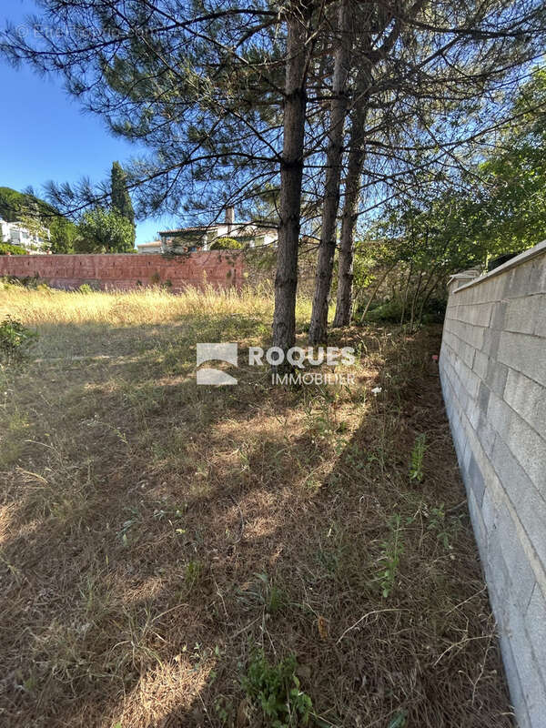 A ventre, terrain constructible situé àBédarieux (34600) - photo 4