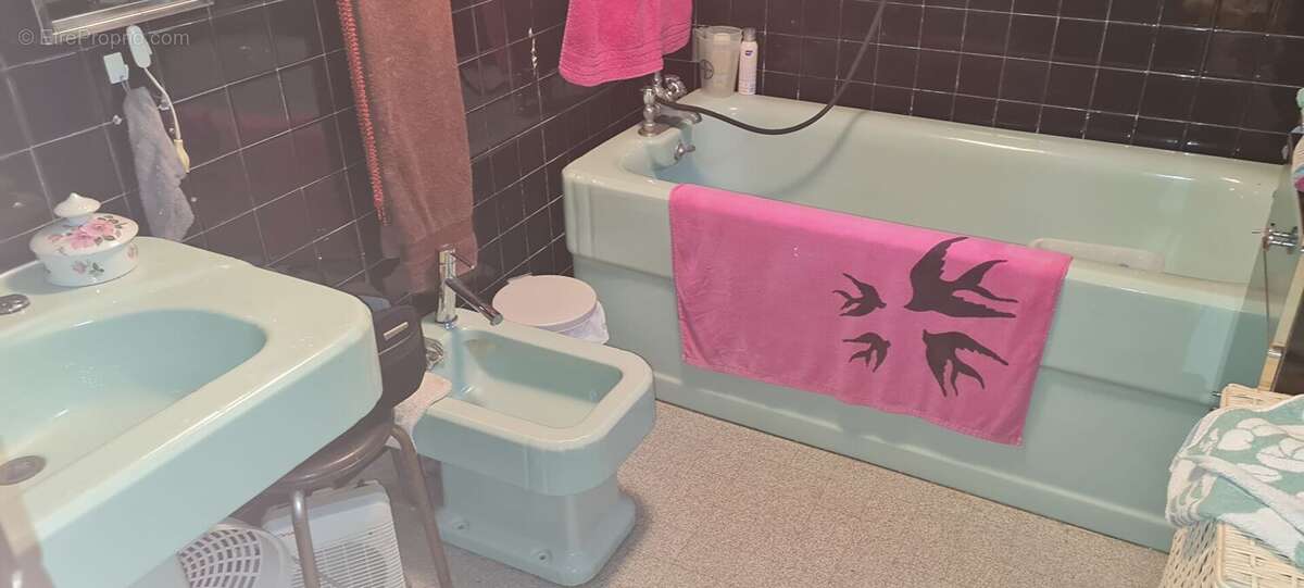 Toulousaine de 206m²avec dépendances sur un terrain de  4h 5900 - photo 9