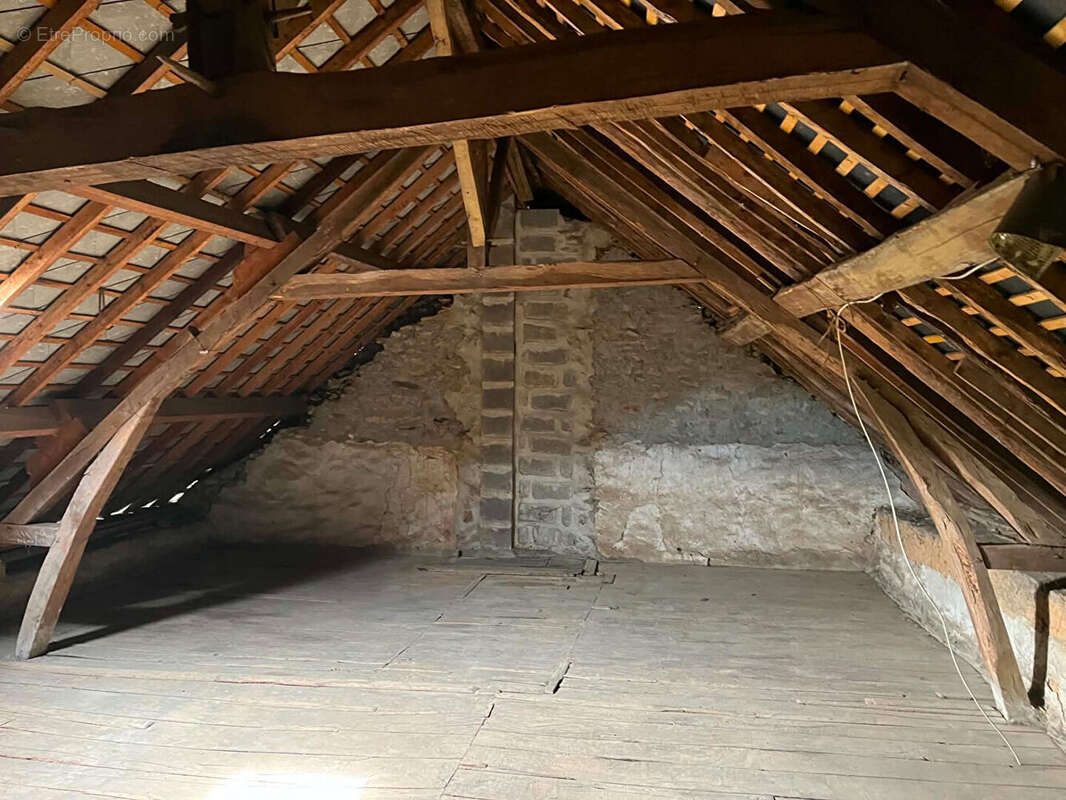 Maison de ville avec jardin et 3 garages - photo 9