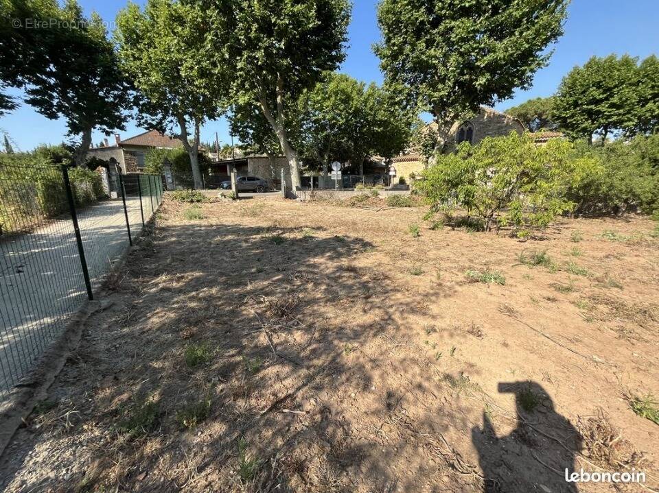 Terrain à MONTSERET