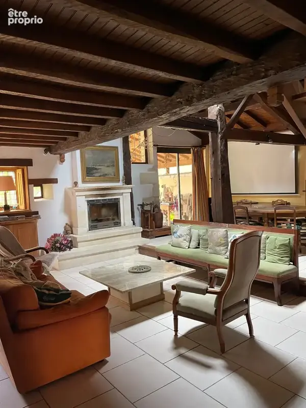 Maison 23 pièces 650 m² à vendre à Saint-Vincent-De-Connezac (24190) - photo 8