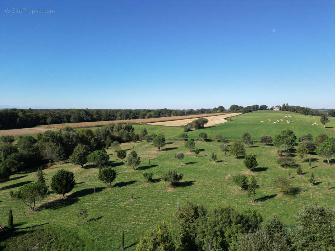 Maison à L&#039;ISLE-EN-DODON