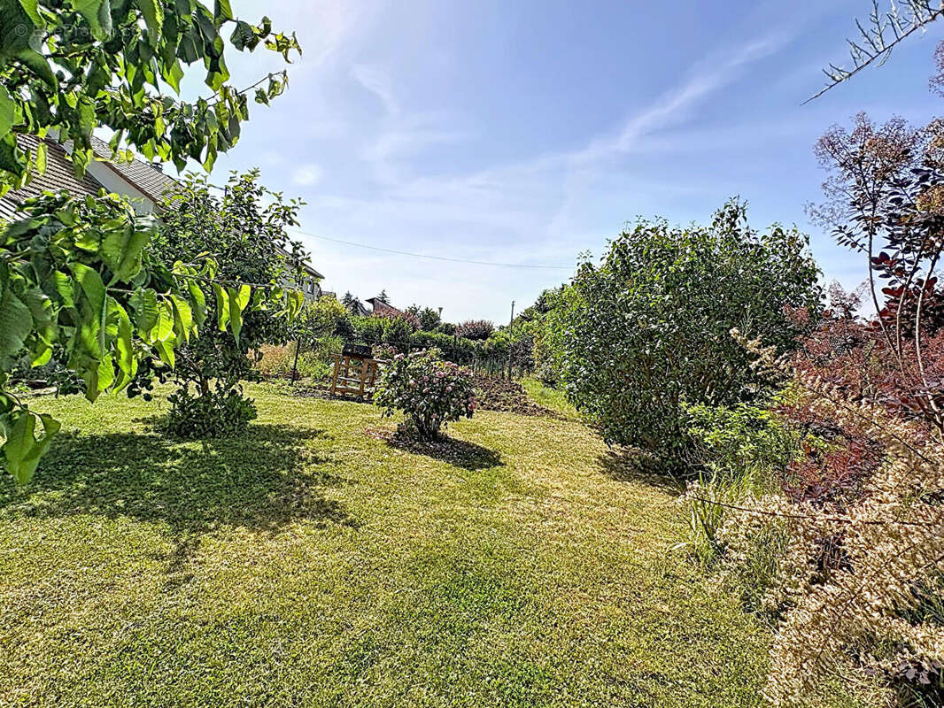 Maison 166 m² - terrain constructible 14 ares - dépendances - photo 14