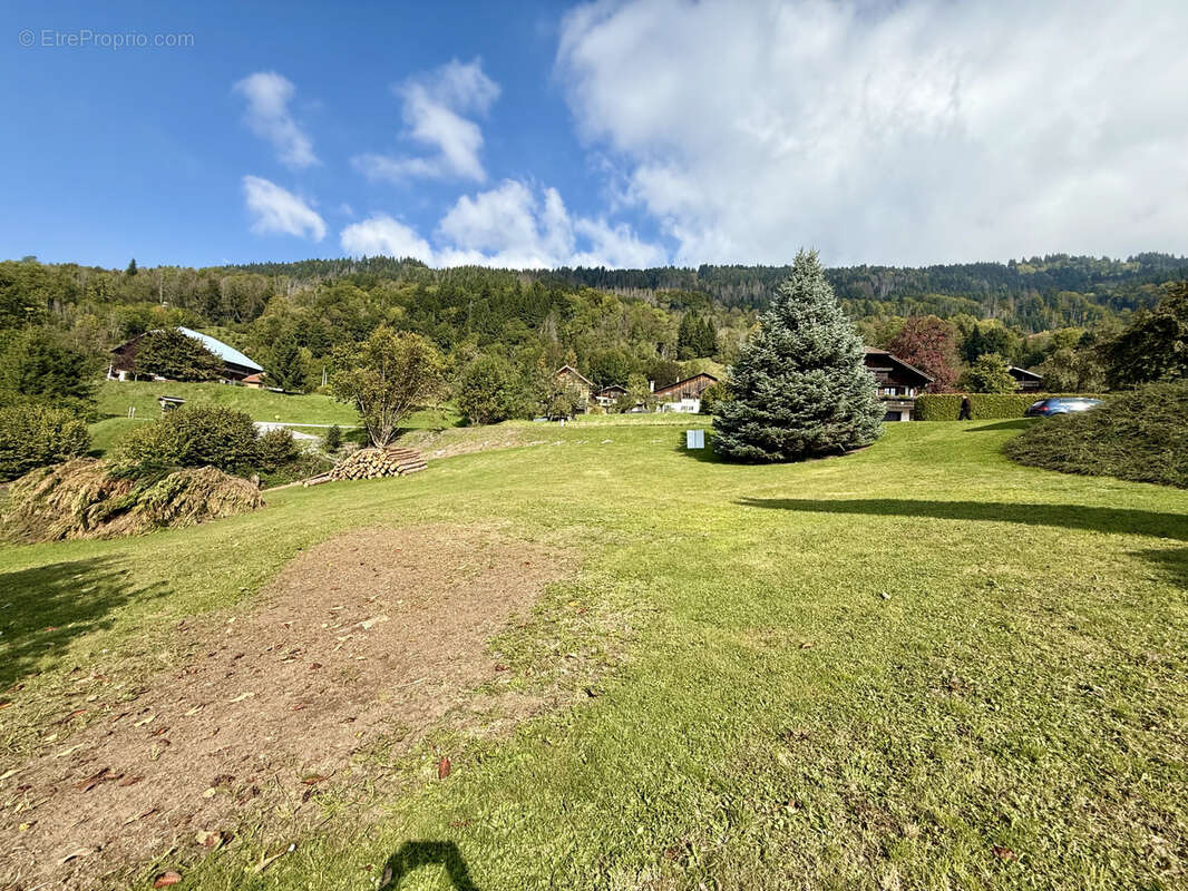 Terrain à SAINT-SIGISMOND