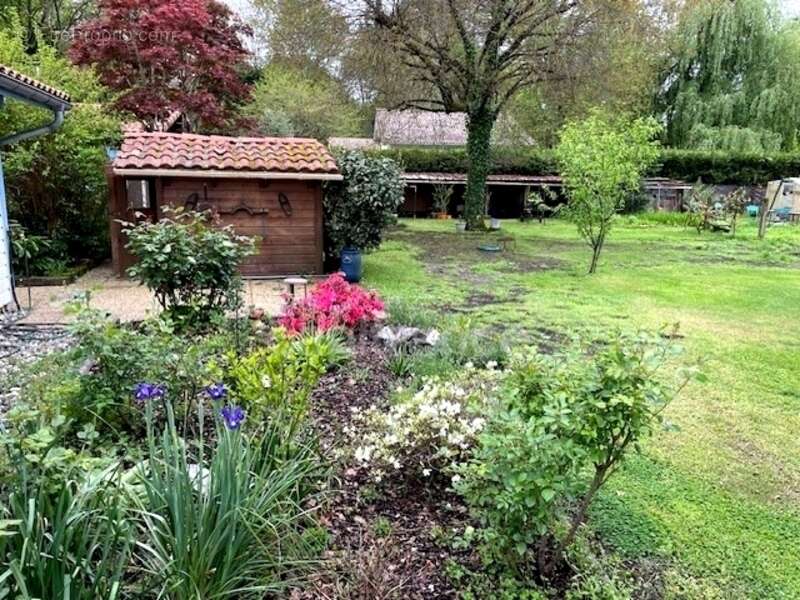 Maison à SAINTE-EULALIE-EN-BORN