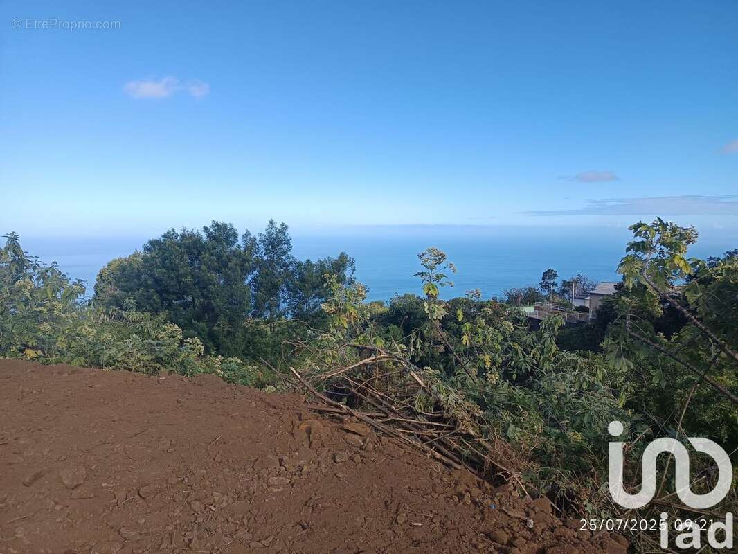 Photo 3 - Terrain à SAINT-LEU