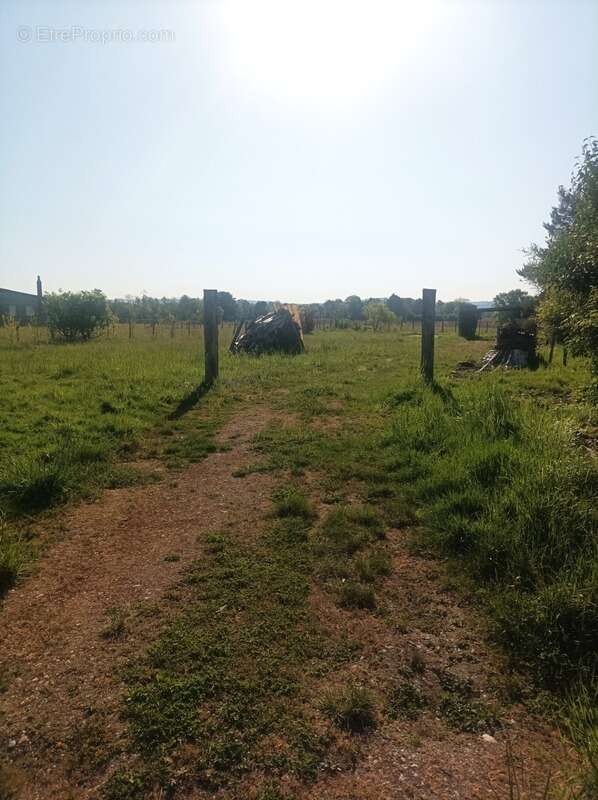 Terrain à vendre  COURLAOUX (39) - photo 2