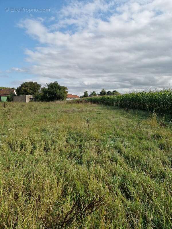 Terrain à LECHATELET