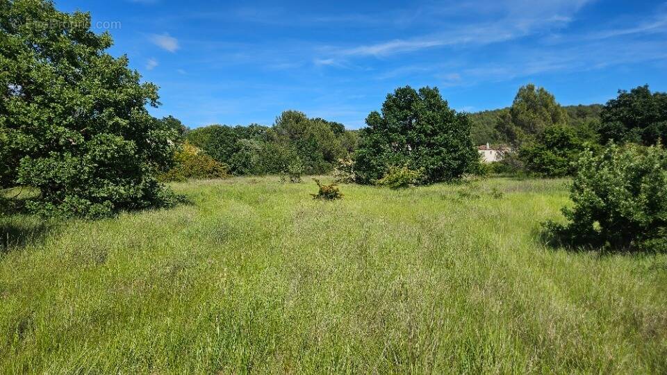 Terrain à LAURIS