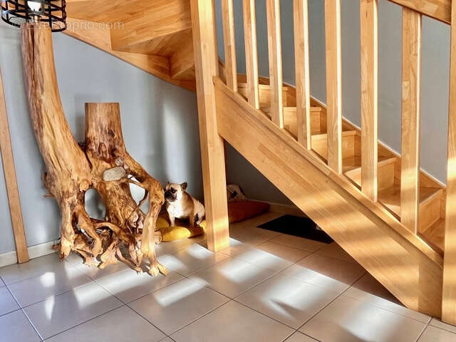 Maison à DOUE-LA-FONTAINE