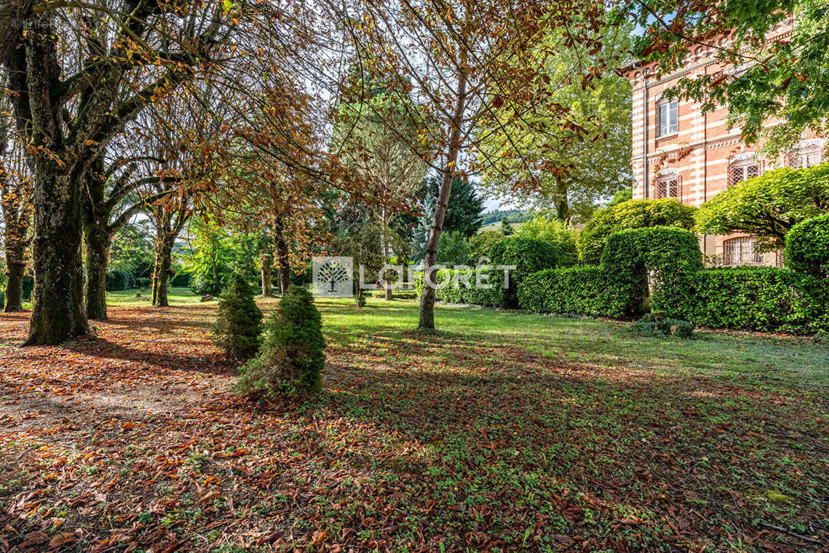 Commerce à BELLEVILLE