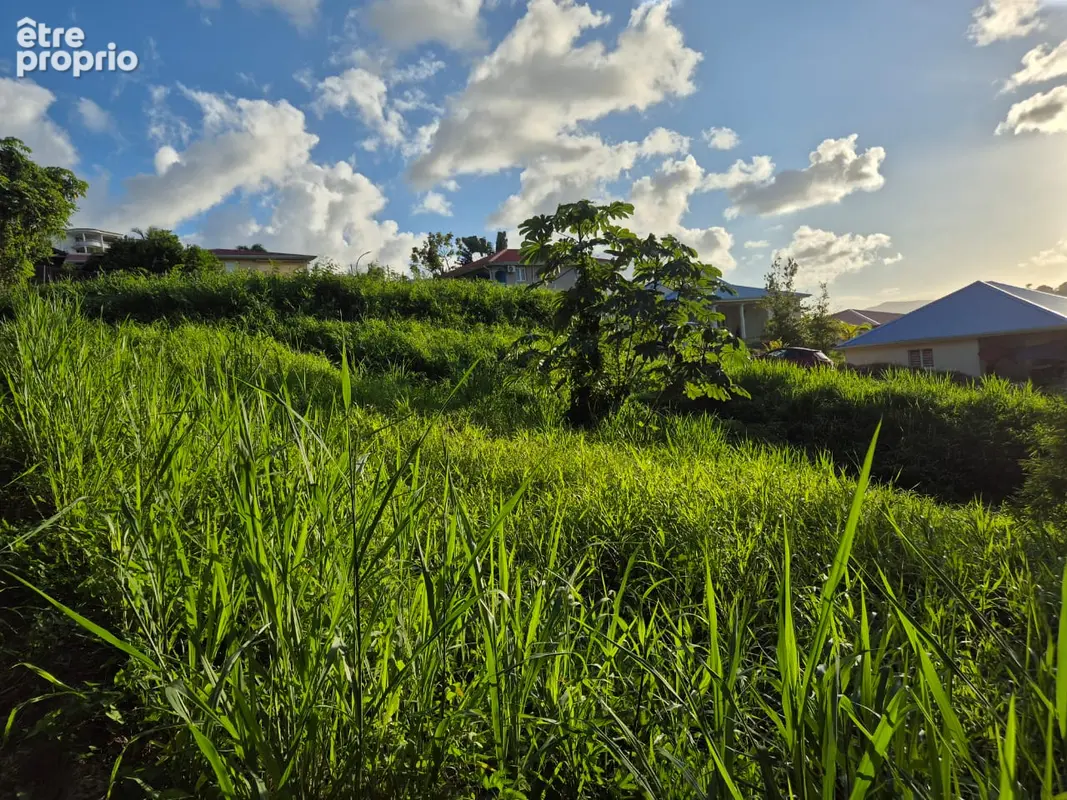 A Vendre : Terrain constructible de 604 m² environ à Ducos - photo 4