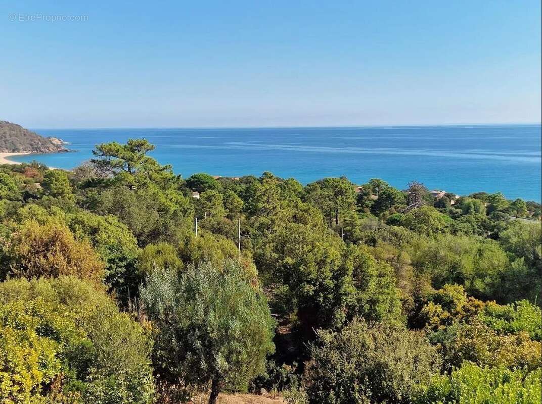 Maison à PORTO-VECCHIO