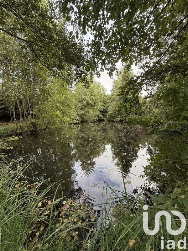 Photo 2 - Terrain à VAILLY-SUR-AISNE