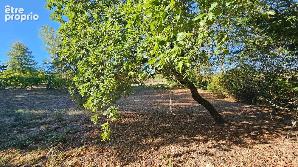 MOIRAX 47310 Terrain constructible de 895 m2 - photo 3