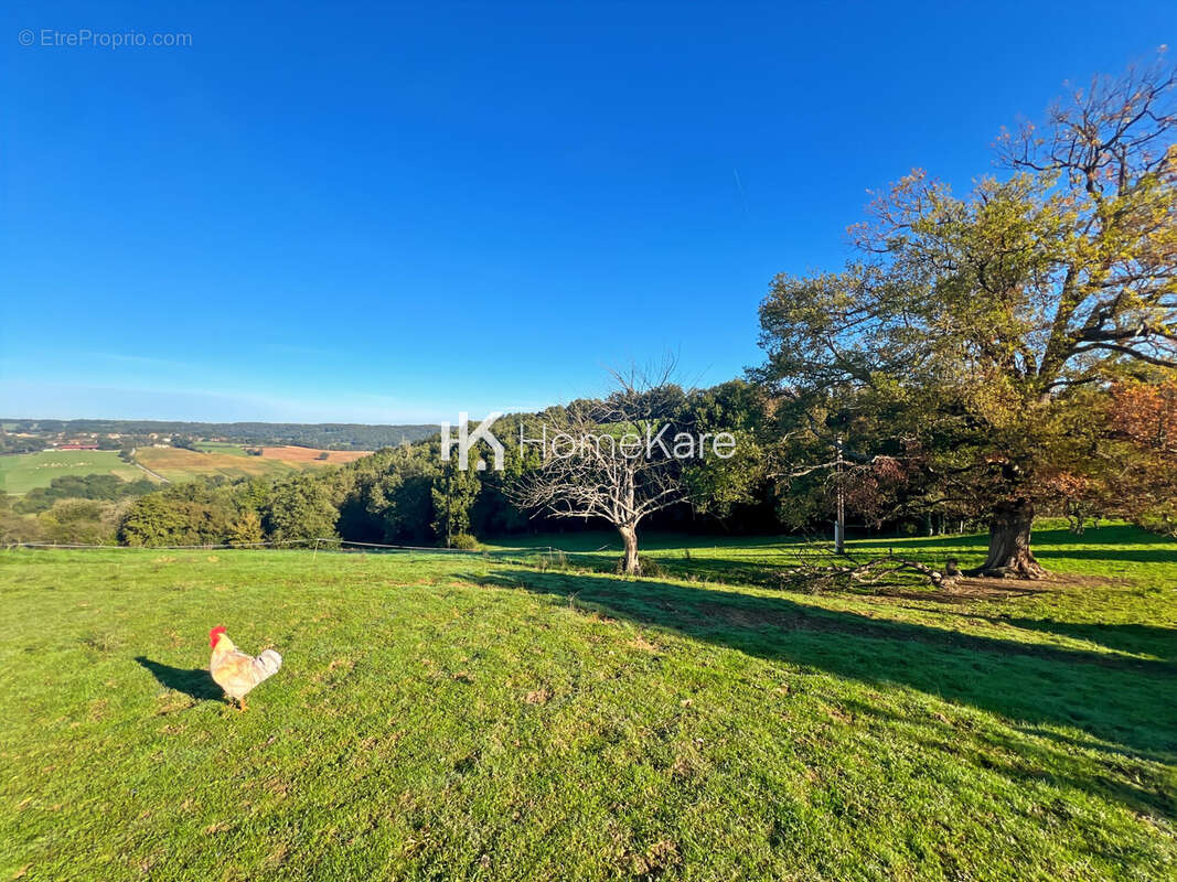 Maison à SAINT-GAUDENS