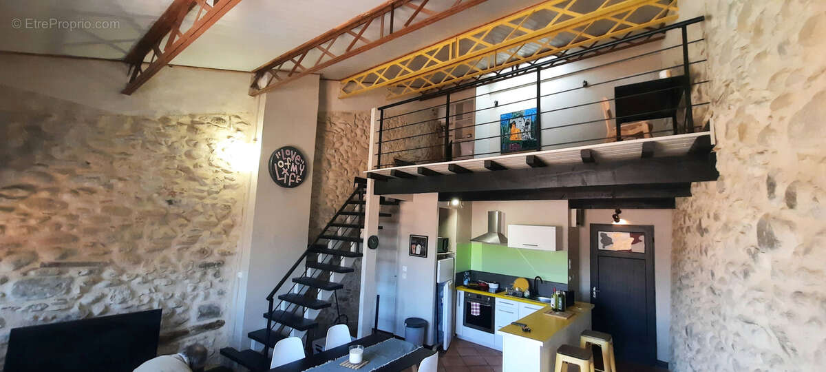 Appartement type loft ceret centre ville 66 vallespir espagne mer montagne - photo 9