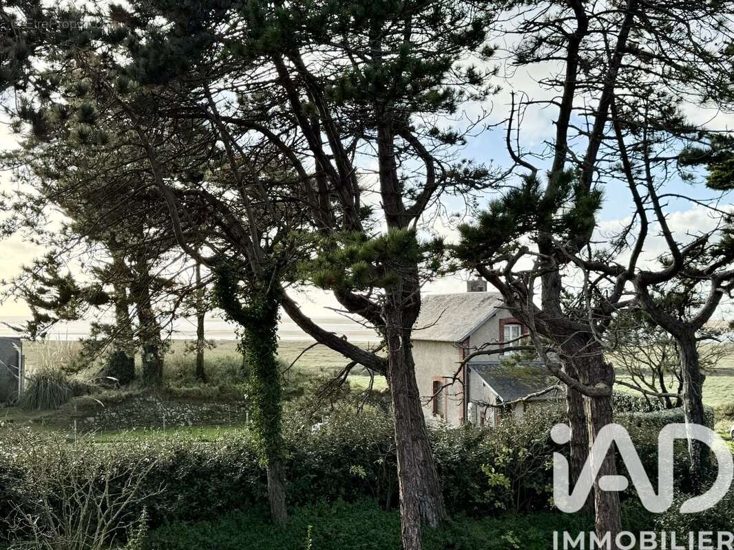 Photo 4 - Maison à REGNEVILLE-SUR-MER