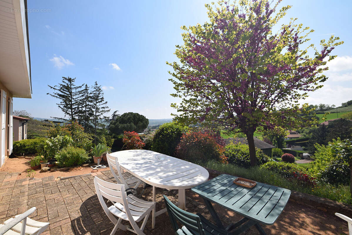 Maison à SAINT-JEAN-DES-VIGNES