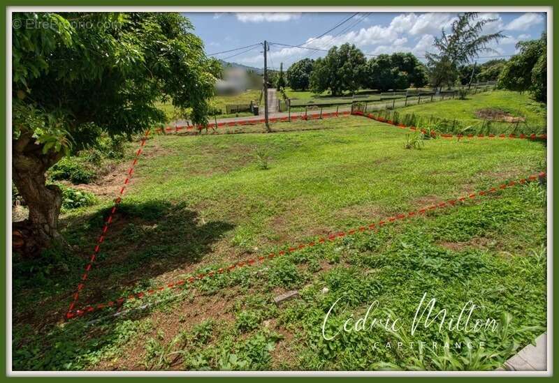 Terrain à LE LAMENTIN