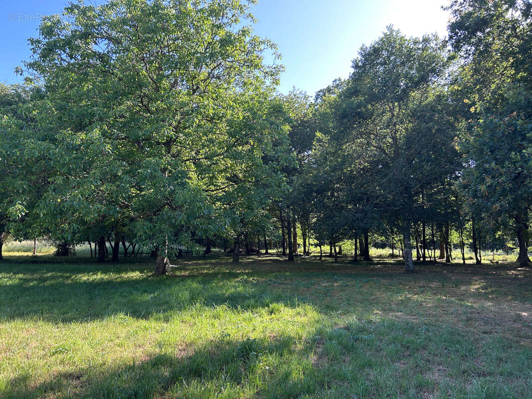 propriété située en  hameau Maison 100 m2 entièrement rénovée avec dépendances et terrain de plus d'un hectare - photo 29