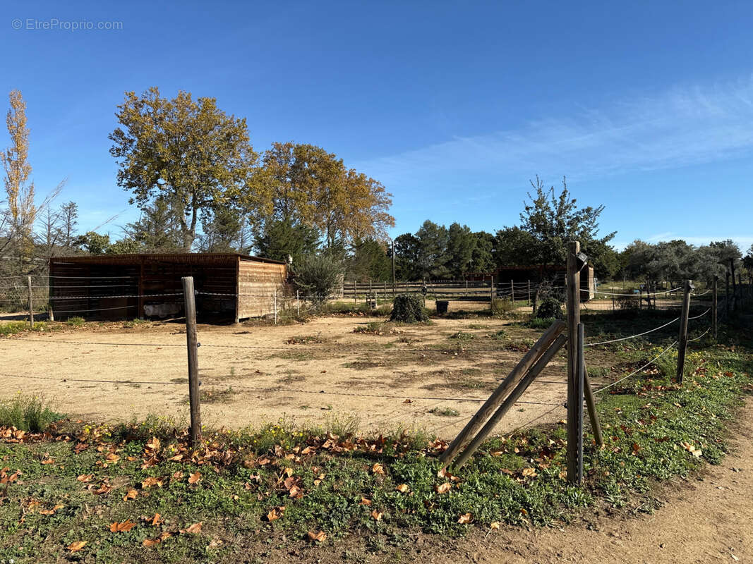 Maison à SAINT-JEAN-PLA-DE-CORTS