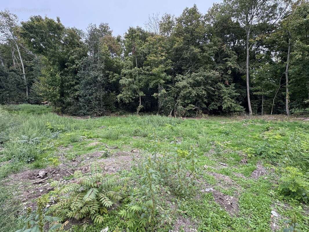 Terrain à SAINT-PRIX