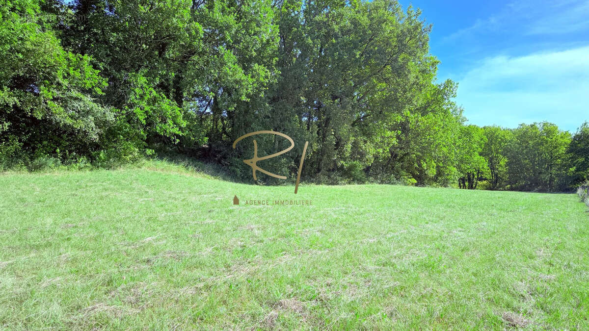 Terrain à SAINT-JEAN-DE-MARUEJOLS-ET-AVEJAN